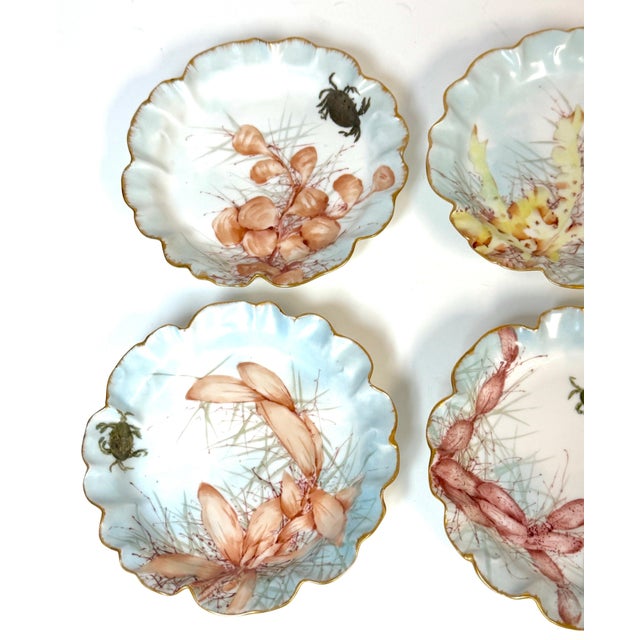 1893 Haviland Limoges Aesthetic Movement Crab Plates - Set of 6 For Sale - Image 13 of 18