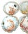 1893 Haviland Limoges Aesthetic Movement Crab Plates - Set of 6 For Sale - Image 13 of 18