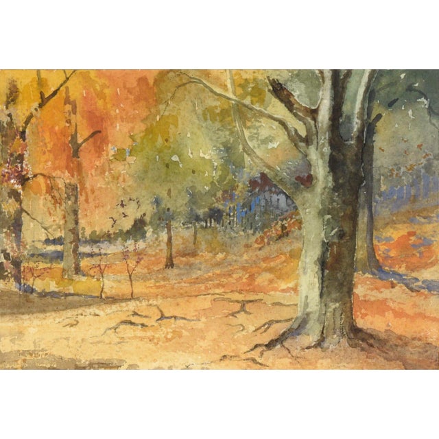 Impressionist Queensdown Warren, Kent - Autumn Forest Interior Landscape in Watercolor by L B H Cremer For Sale - Image 3 of 10
