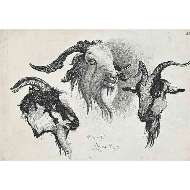 After Charles Coleman, Antelope in the Roman Countryside, Original Etching, 1992 For Sale