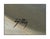 Early 21st Century Original Gold for Margarite, Thomas Stiltz For Sale - Image 5 of 5