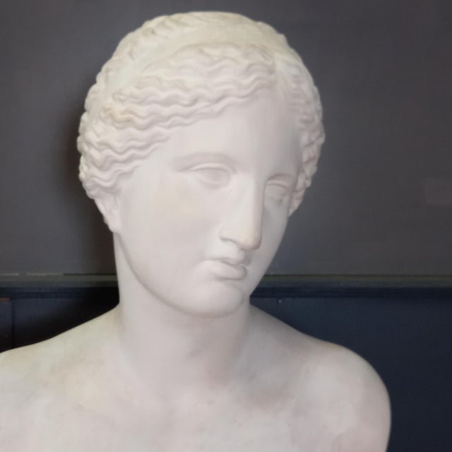 Vintage Plaster Bust of Venus from England – 1950s Bring timeless elegance and classic beauty into your home with this...