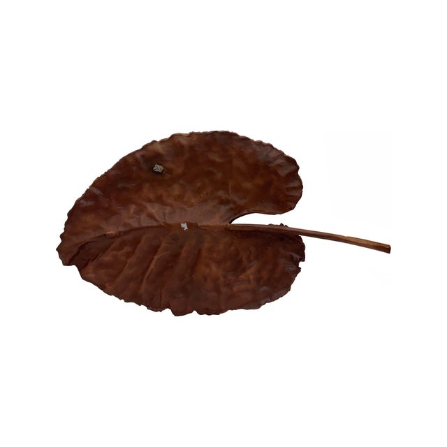 Crafted with meticulous detail, this wall art features lifelike veins and contours finished in a warm bronze tone. Its...
