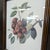 2000 - 2009 Set of 3 Framed Fruit Botanical Prints - Vintage Wall Art For Sale - Image 5 of 7