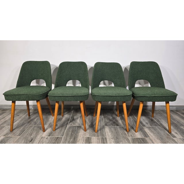 Dining Chairs by Oswald Haerdtl for Ton, 1950s, Set of 4 For Sale - Image 6 of 12