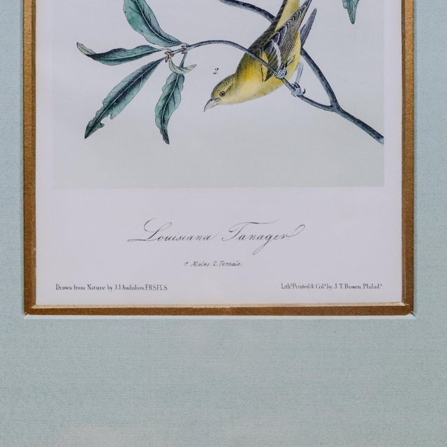 Mid 19th Century Mid-19th Century Audubon “Louisiana Tanager” Hand-Colored Octavo Lithograph For Sale - Image 5 of 5