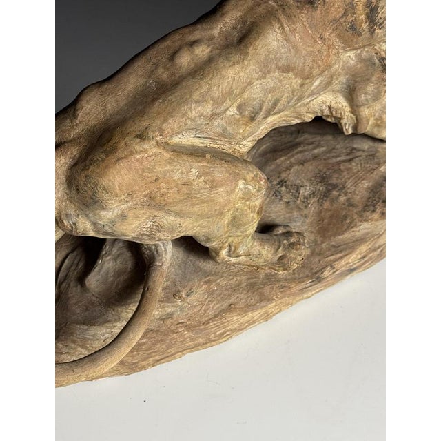 Armand Fagotto, Lion, Terracotta For Sale - Image 16 of 18