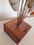 Mid Century Brutalist Shell Seashell Sculpture For Sale - Image 4 of 5