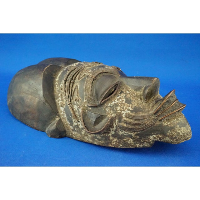 Antique African Ethnic Tribal Mask in Wenge Wood and Copper, 1890s For Sale - Image 13 of 18