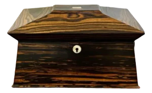 Regency Coromandel Wood Tea Caddy, 1830s