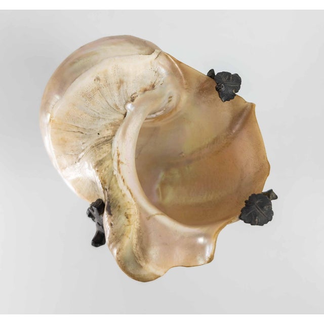19th Century Continental European French or German Bronze With Turbo Shell, Kunstkammer Object For Sale - Image 11 of 14