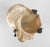 19th Century Continental European French or German Bronze With Turbo Shell, Kunstkammer Object For Sale - Image 11 of 14