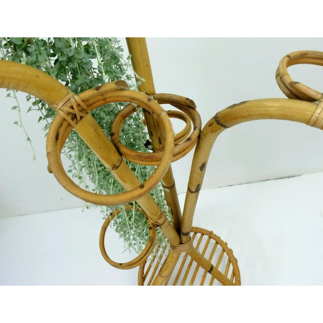 Wood Bamboo and Ratten Flower Stand, 1950s For Sale - Image 7 of 9