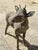 Vintage French Standing Deer Small 19" Cement Concrete Stone Garden Statue For Sale - Image 10 of 16