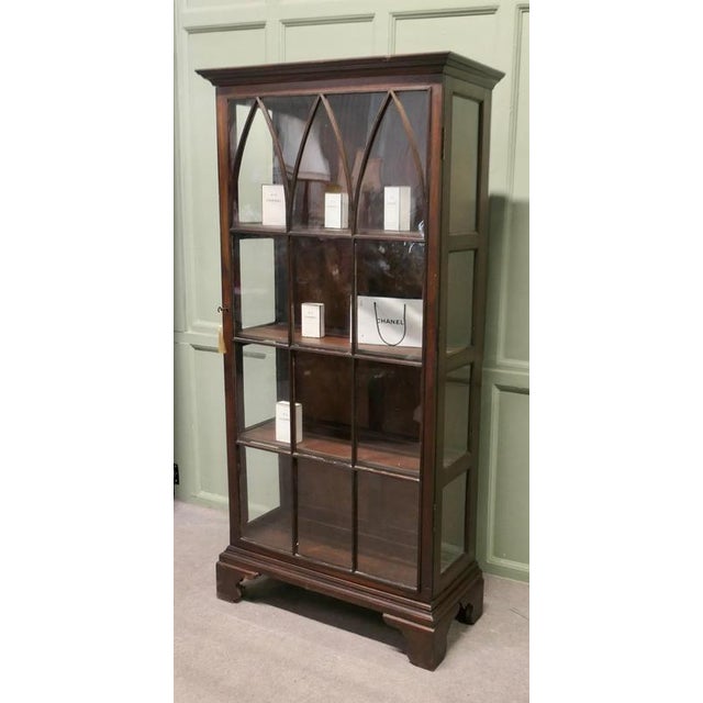 Mid 19th Century Antique Display Cabinet, 1850s For Sale - Image 5 of 8