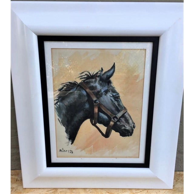 Spanish horse portrait, 1958 Curious painting in front and back and signed in both sides. Beautiful horse portrait by...