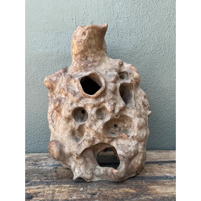 Mid 20th Century Vintage Organic Wood Knot Sculpture For Sale - Image 5 of 12