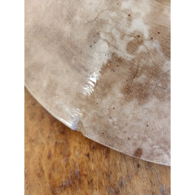 Antique 19th Century Majolica Begonia Leaf Platter For Sale - Image 10 of 10