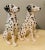 English Royal Doulton Dalmatian Statues Made in England - A Pair For Sale - Image 3 of 9