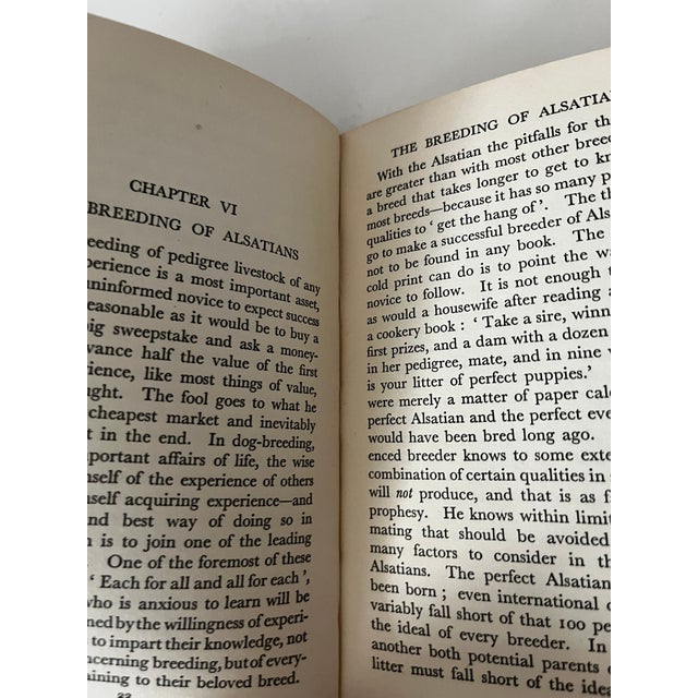 1930s 1933 Our Friend the Alsatian Book For Sale - Image 5 of 5