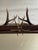 Rustic Antique Black Forest Roe Deer Antlers and Borrows Wall Mirror For Sale - Image 3 of 5