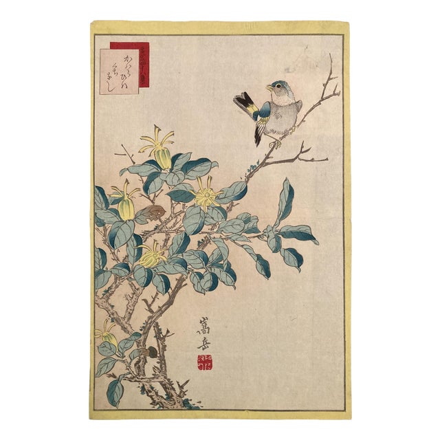 Nakayama Sūgakudō, Verdier Et Gardénia, 1859, Woodblock Print For Sale