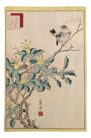 Nakayama Sūgakudō, Verdier Et Gardénia, 1859, Woodblock Print
