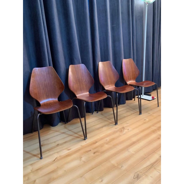 Mid-Century Modern Chairs by Herbert Hirche for Jofy Stalmobler, Denmark, 1950s, Set of 4 For Sale - Image 3 of 16