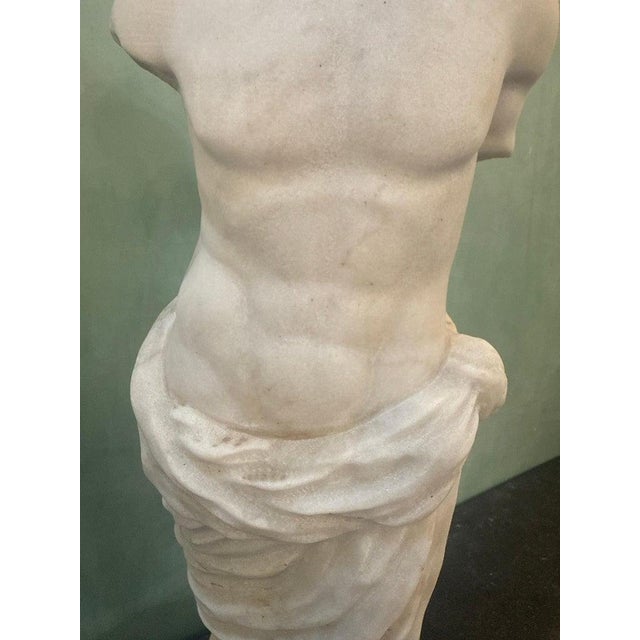 Classical Marble Male Torso Fragment on Custom Stone Base For Sale - Image 10 of 12