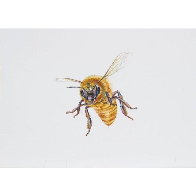 Juris Utans, Fluffy Bee, 2021, Mixed Media and Paper For Sale - Image 3 of 3