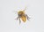 Juris Utans, Fluffy Bee, 2021, Mixed Media and Paper For Sale - Image 3 of 3