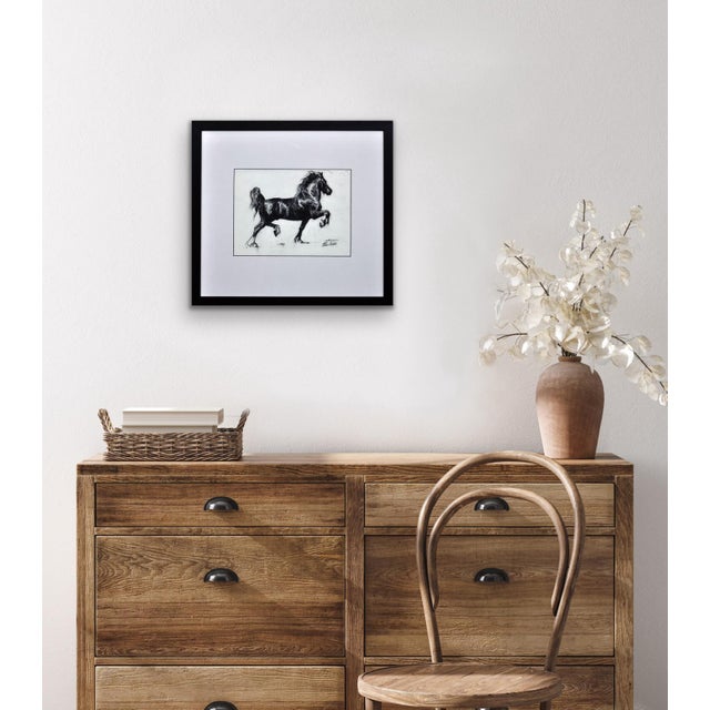 Elin Sian Blake, Black Welsh Cob, Charcoal on Paper For Sale - Image 15 of 18