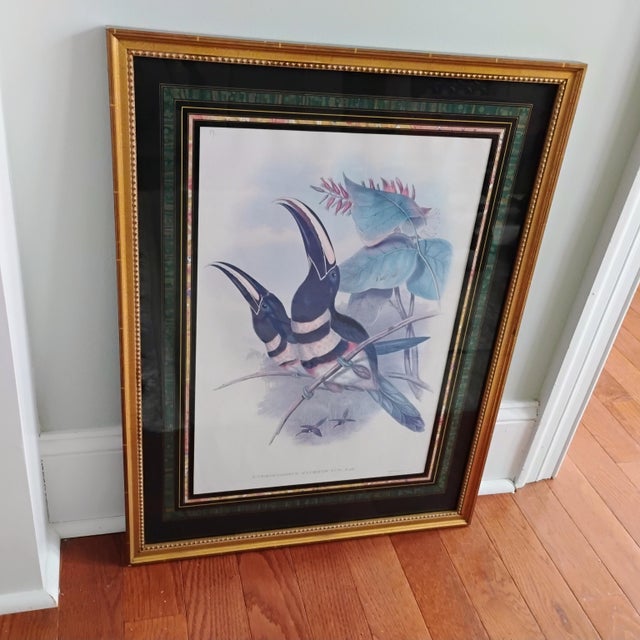 Rare John Gould & Richter Framed Toucan Litho Mid 19th Century Many-Banded Aracari "Pteroglossus Pluricinctus" 28x22 For Sale - Image 9 of 16