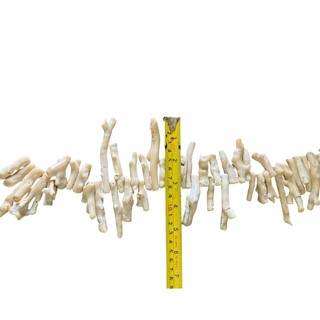 Vintage Natural African White Coral Trade Beads /Currency /Necklace 49 Pieces For Sale In New York - Image 6 of 12