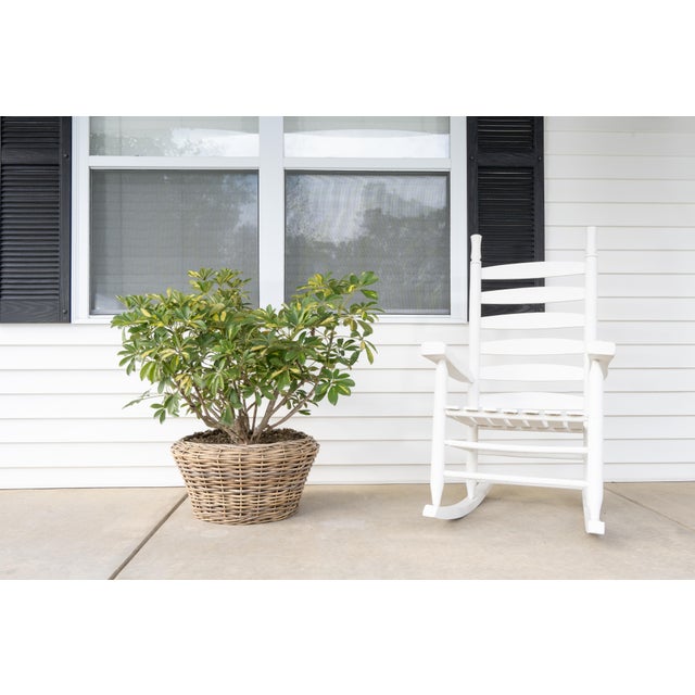 Artifacts Rattan Round Cone Planter with Black Plastic Insert, Natural, 22" For Sale In Houston - Image 6 of 10