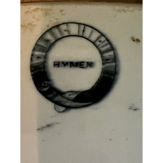 White Antique Haviland Limoges Large Oval Meat Platter, Hand-Painted Birds & Florals, Pink Banded Rim, French Porcelain For Sale - Image 8 of 12