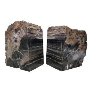XL Petrified Wood Bookends 6.5”h 5”w 4"d Natural Top Fossil Art Decor 19+ Lbs! For Sale