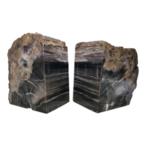 XL Petrified Wood Bookends 6.5”h 5”w 4"d Natural Top Fossil Art Decor 19+ Lbs!