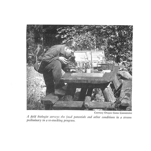 Paper "Western Trout" 1948 Macdowell, Syl For Sale - Image 7 of 10