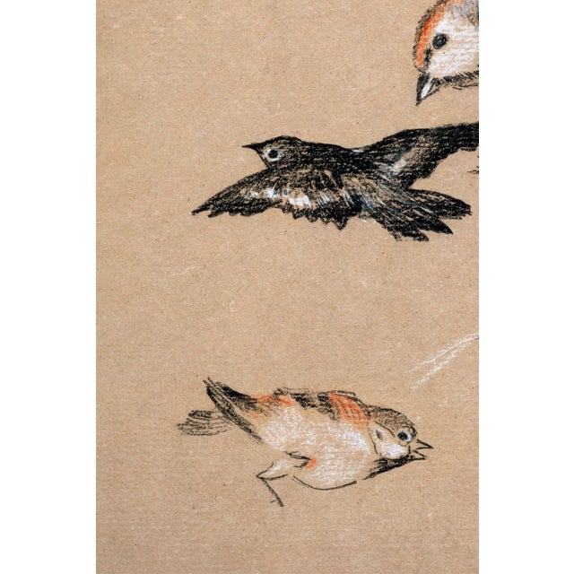 Not Yet Made - Made To Order Study of Birds: Finches by Sir Edward Burne-Jones, Vintage Art Print Reproduction, 16" X 24" For Sale - Image 5 of 9