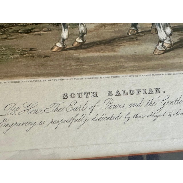 Pair Antique Military Hand-Colored Engravings, Framed For Sale - Image 17 of 18