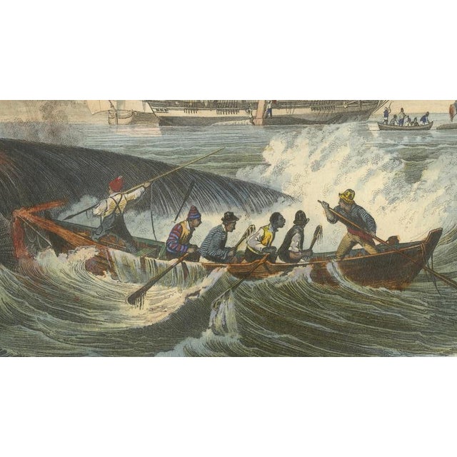Mid 19th Century After Édouard Traviès, Whale Hunt, 1840, Hand-Colored Engraving For Sale - Image 5 of 9