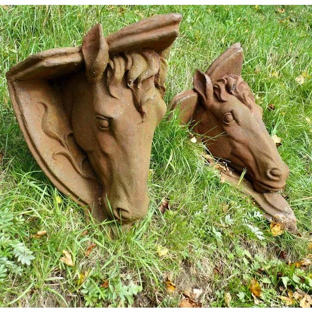1920s Cast Iron Horse's Head Wall Bracket Shelves, 1920s, Set of 2 For Sale - Image 5 of 9