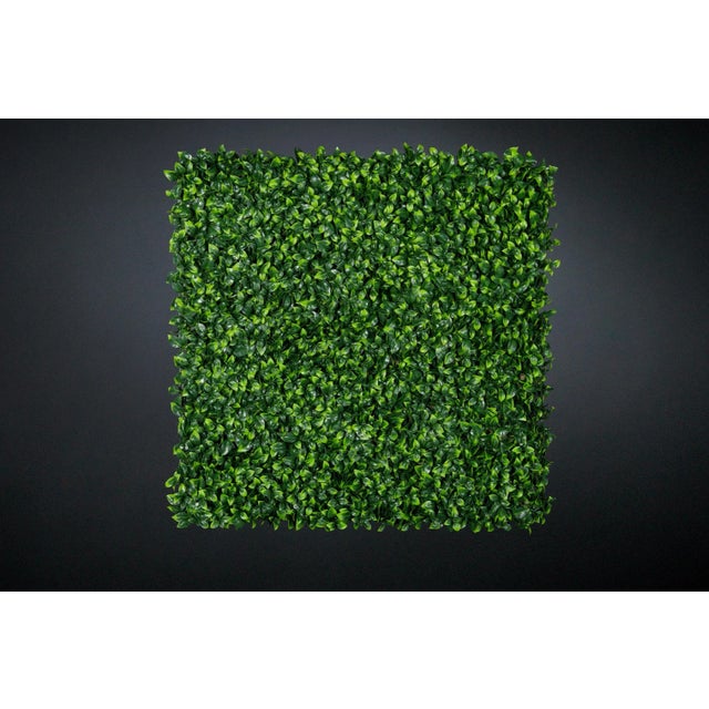 Modular Jasmine Wall Vertical Garden Panel from VGnewtrend For Sale - Image 4 of 4