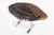 Modern One Slab Living Edge Petrified Wood Console Table W Stainless Stand 52 For Sale - Image 3 of 6