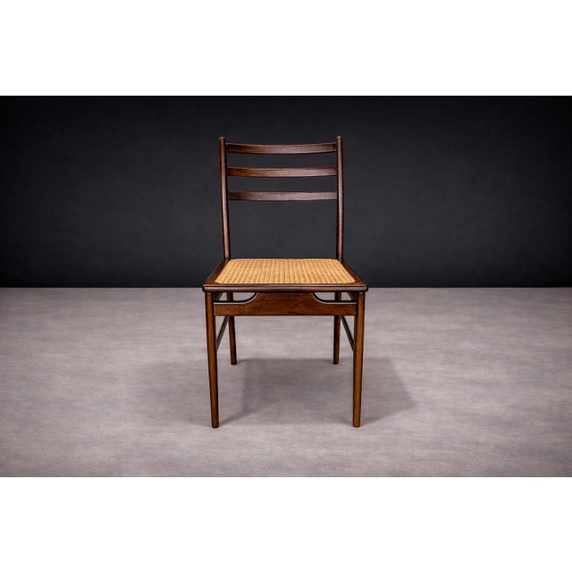 Chair in Rosewood & Cane, Alexandre Rapoport, 1960s For Sale In New York - Image 6 of 12