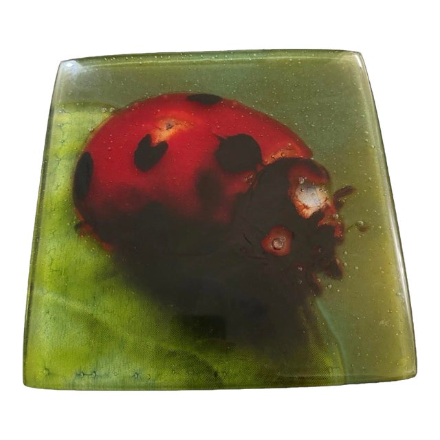 1980s Beautiful 11 X 11 Heavy Solid Blown Ladybug Glass Plaque Italian Art Signed For Sale