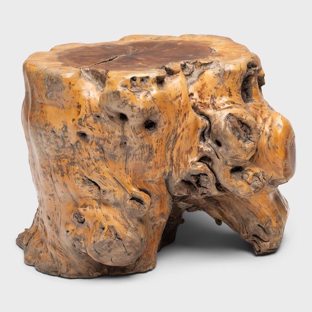 The organic form of this rootwood side table would have appealed to the refined tastes of Ming and Qing dynasty literati,...
