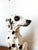 Vintage Ceramic Dalmatian Dog, Italy, 1970s For Sale - Image 6 of 14