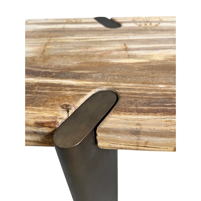Petrified Wood & Bronze Console Table For Sale - Image 11 of 12